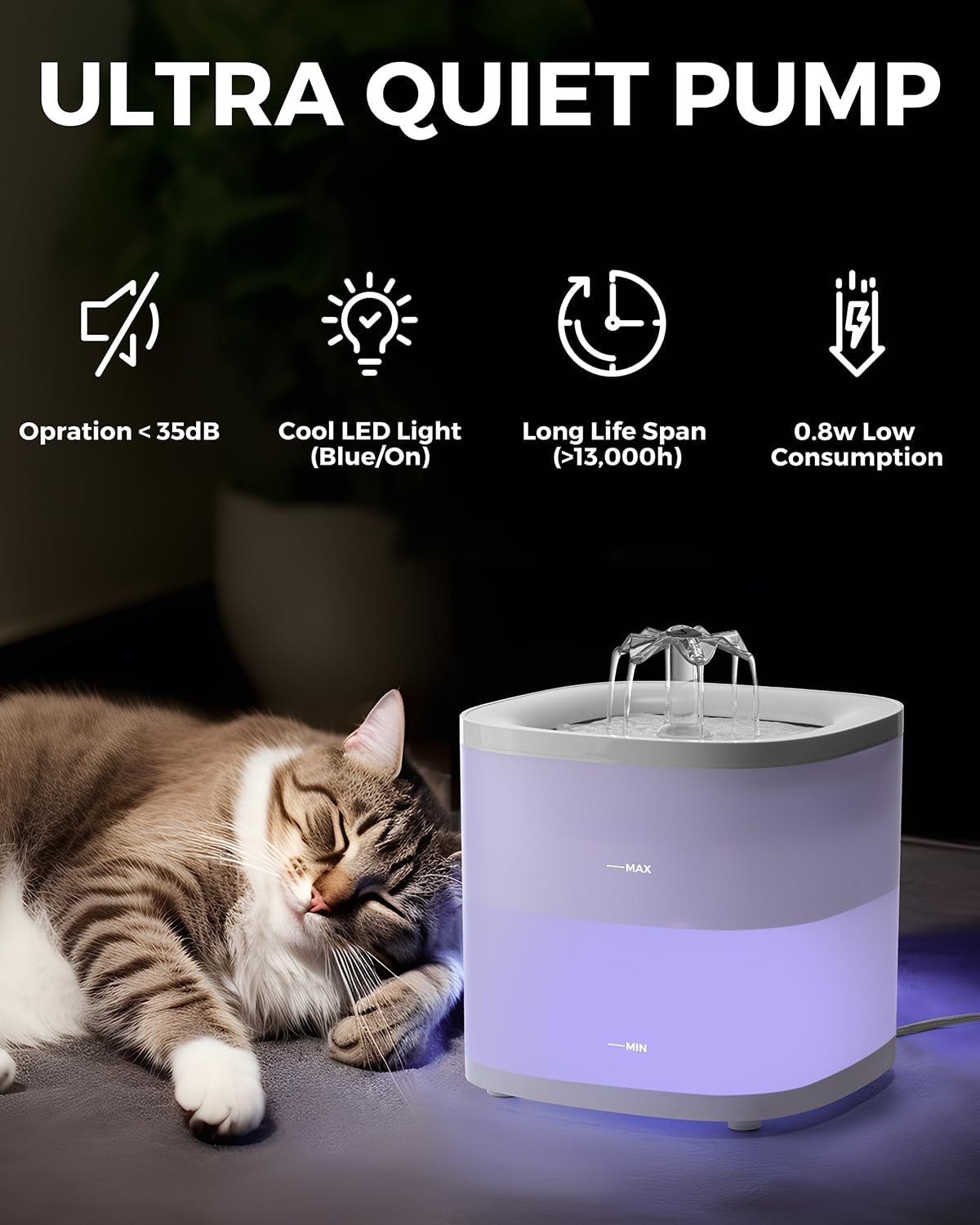 Stainless Steel Cat Water Fountain & Food Bowl Set with No Spill Mat C873650