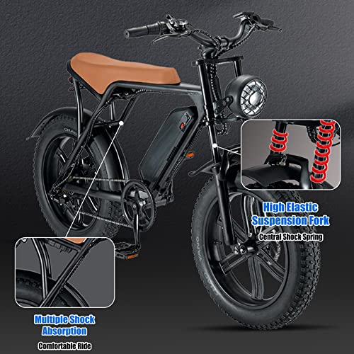 Electric Bike for Adults 20" Fat Tire 750W Removable Battery B243448