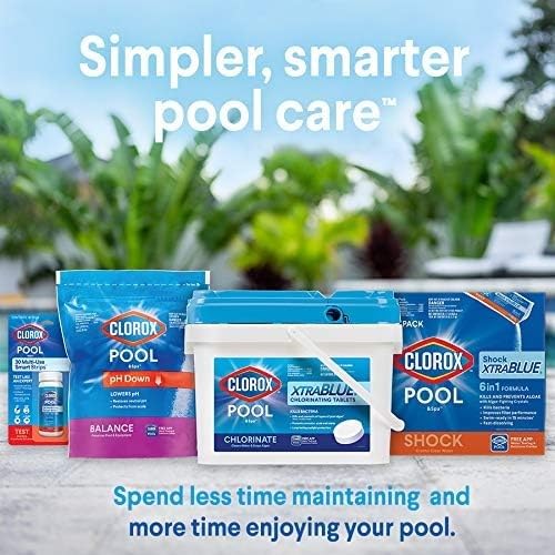 Clorox Pool&Spa Swimming Pool Scale, Metal & Stain Control, 1 Quart G9480