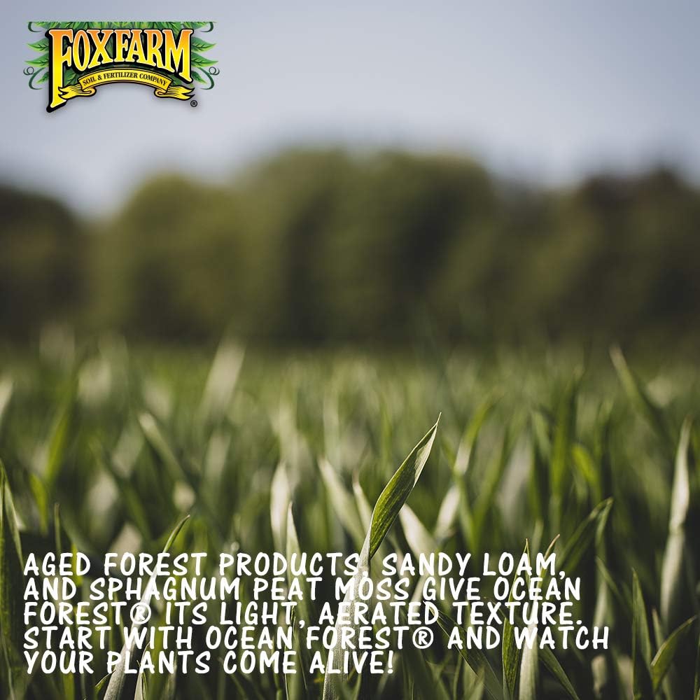 Fox Farm Ocean Forest Potting Soil Organic Fertilizer for Indoor Outdoor Plants, 38.5 qt (4 Pack) X708486