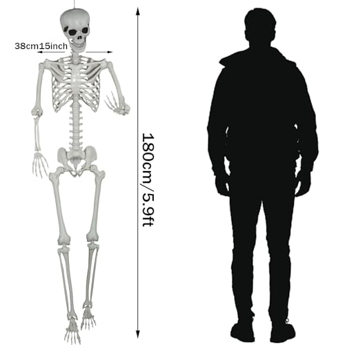 Halloween Life Size Skeleton with Movable Joints for Party Decoration X354