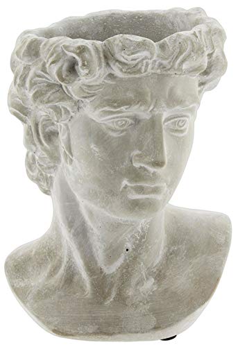 Greek Statue Head Cement Planter - Unique Sculpture Plant Pot for Indoor Outdoor Home Garden Decor (9")