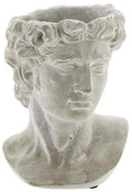 Greek Statue Head Cement Planter - Unique Sculpture Plant Pot for Indoor Outdoor Home Garden Decor (9")