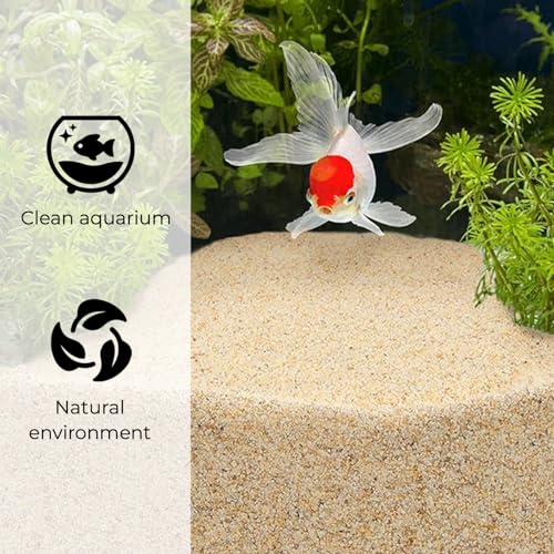 Coarse Silica Sand 10LB for Plants, Bonsai, Cactus & Garden Grit O97457
