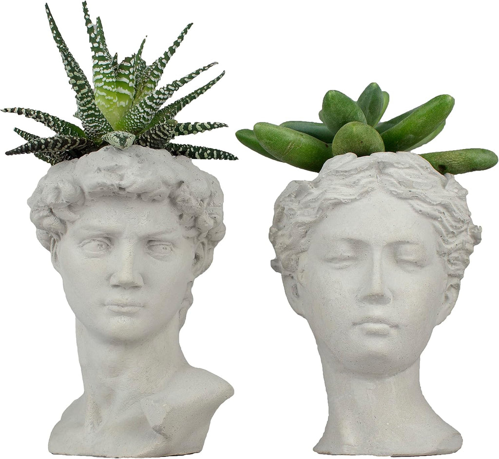 Unique Head Planter Succulent Pots Greek Mythology David Face Statue Bust Concrete Indoor Outdoor Garden 5 Inch Set of 2 Gray E4106