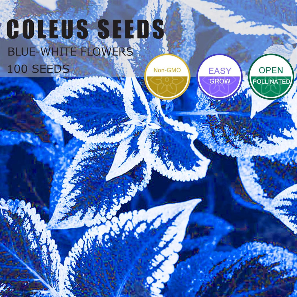 Coleus Seeds for Planting 30pcs Non-GMO Perennial Outdoor Garden S728761
