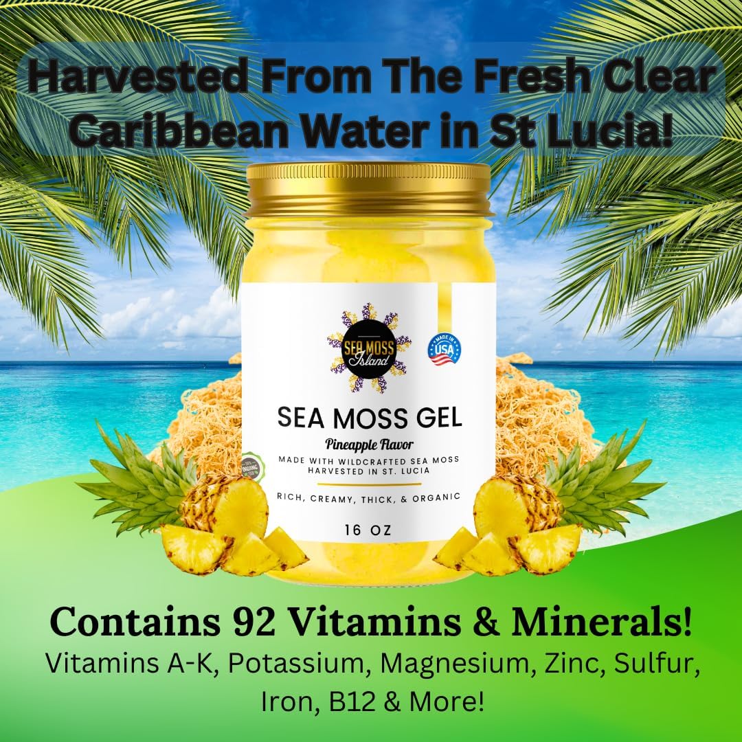 Organic Wildcrafted Irish Sea Moss Gel Vegan Supplement, Made in USA H7373