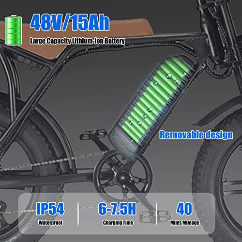 Electric Bike for Adults 20" Fat Tire 750W Removable Battery B243448