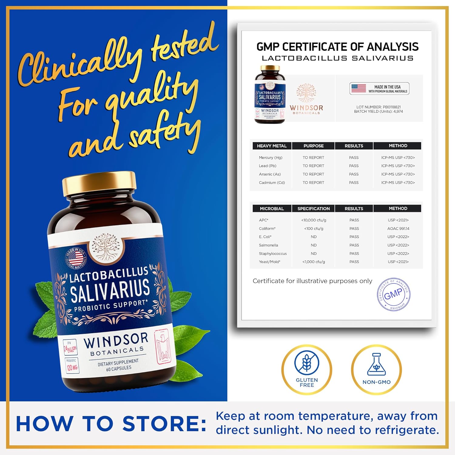 Lactobacillus Salivarius Probiotic Capsules for Oral, Dental, and Immune Support, 24bn CFU, 2-Pack B3141