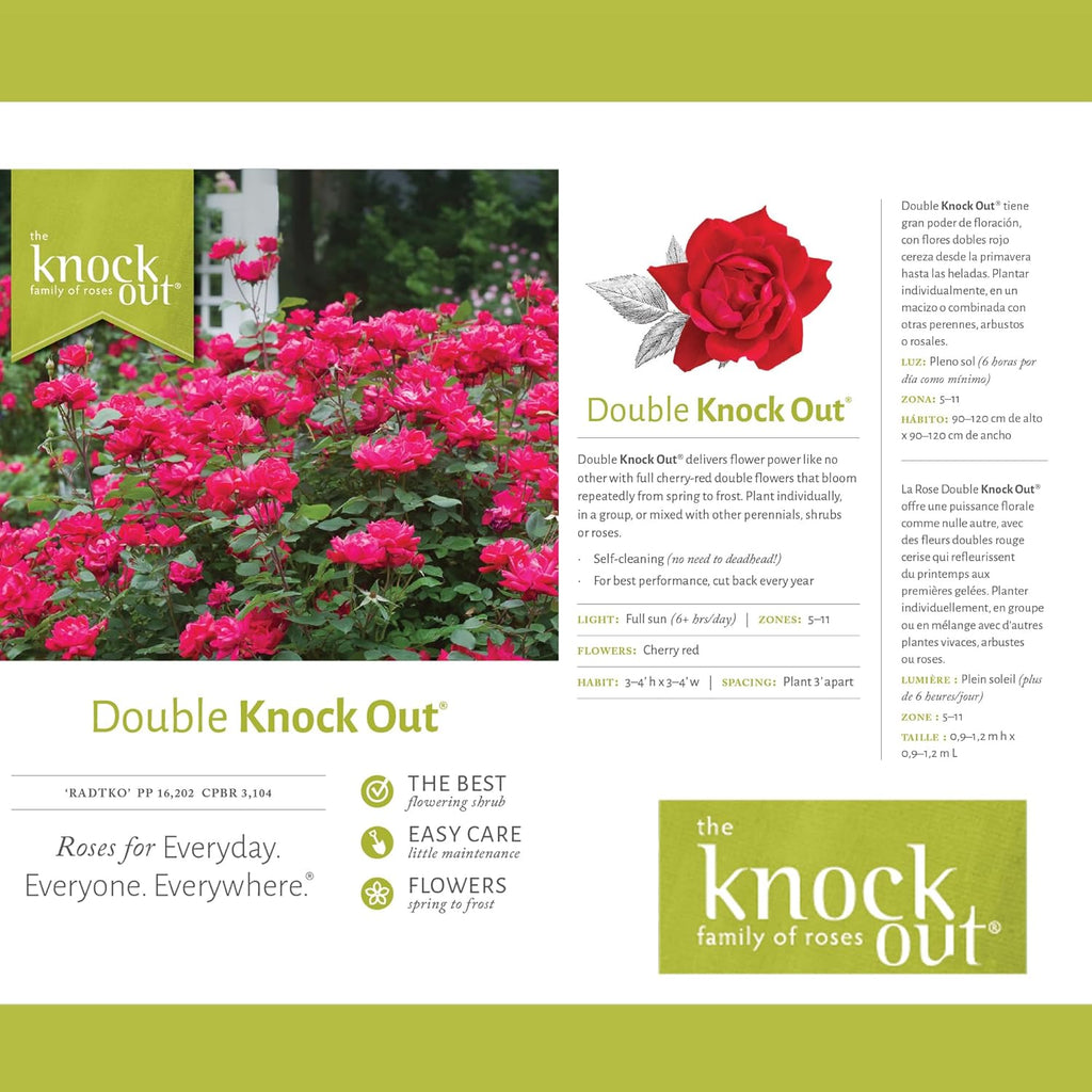 Knockout White Rose and Double Knockout Cherry Red Plant Bundle, 1 Gallon Q79677