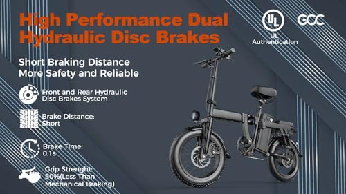 Ronson Electric Bike for Adults, 750W Motor, Foldable Fat Tire Ebike Z57486
