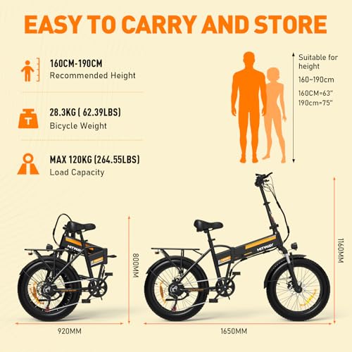 Foldable Electric Bike for Adults 750W 48V 12AH Fat Tire H4741