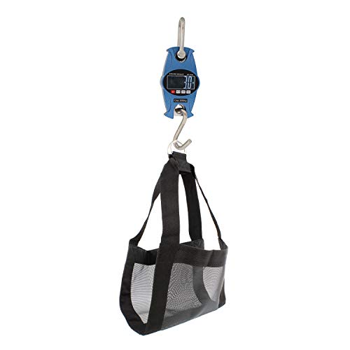Digital Hanging Scale 660 lb with Calf Sling H1934