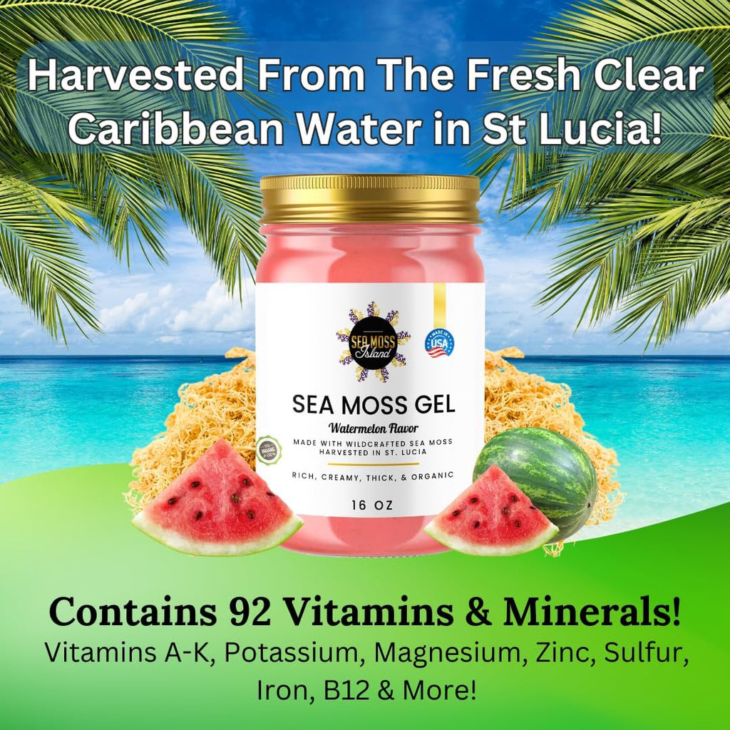 Watermelon Sea Moss Gel Wildcrafted Irish Seamoss, Vegan Supplement, 16oz O26614