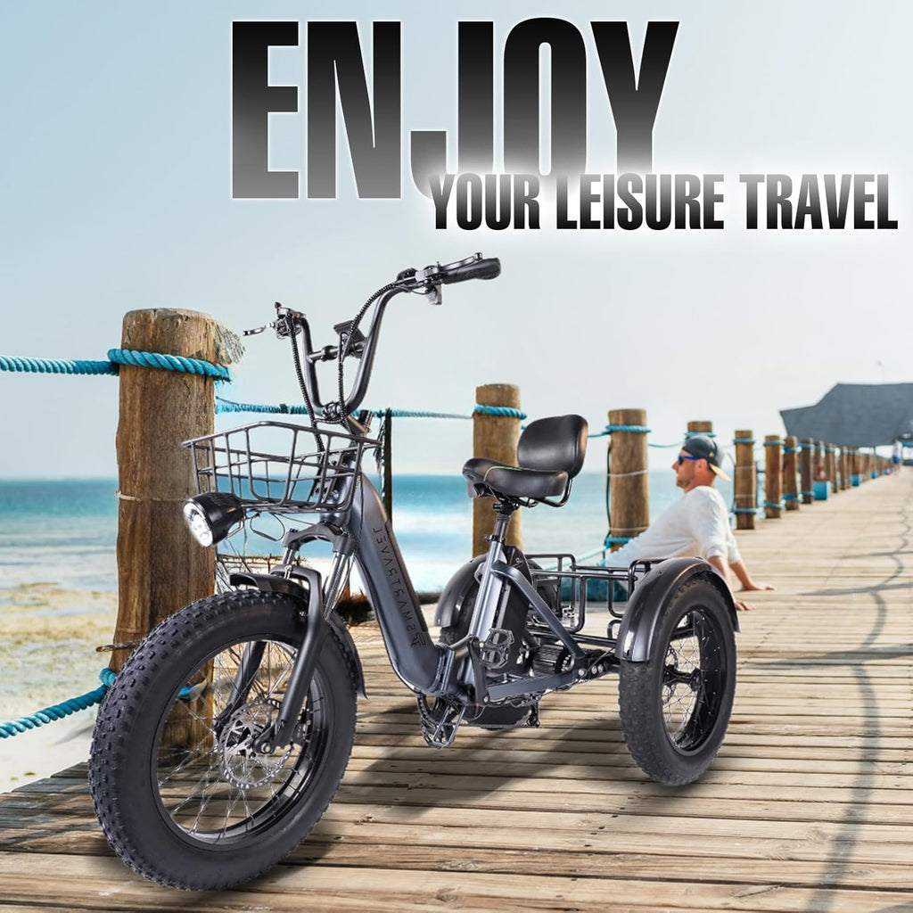 Electric Trike Adults 750W 20" Fat Tire 3 Wheel Electric Bike with Dual Removable Batteries U110