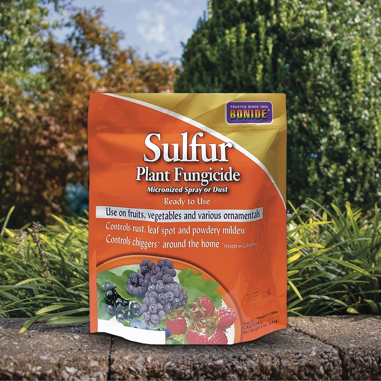 Bonide Sulfur Plant Fungicide 4 lb Ready-to-Use Micronized Spray or Dust for Organic Gardening I290368