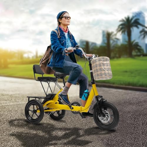 Adult Electric Tricycle Foldable 14 Inch with Detachable Battery and Baskets I325