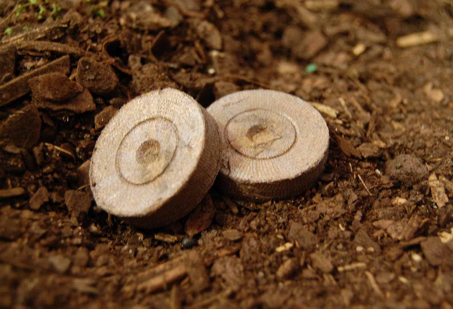 Jiffy-7 Peat Pellet 36mm Seed Starting by Growers Solution V575176