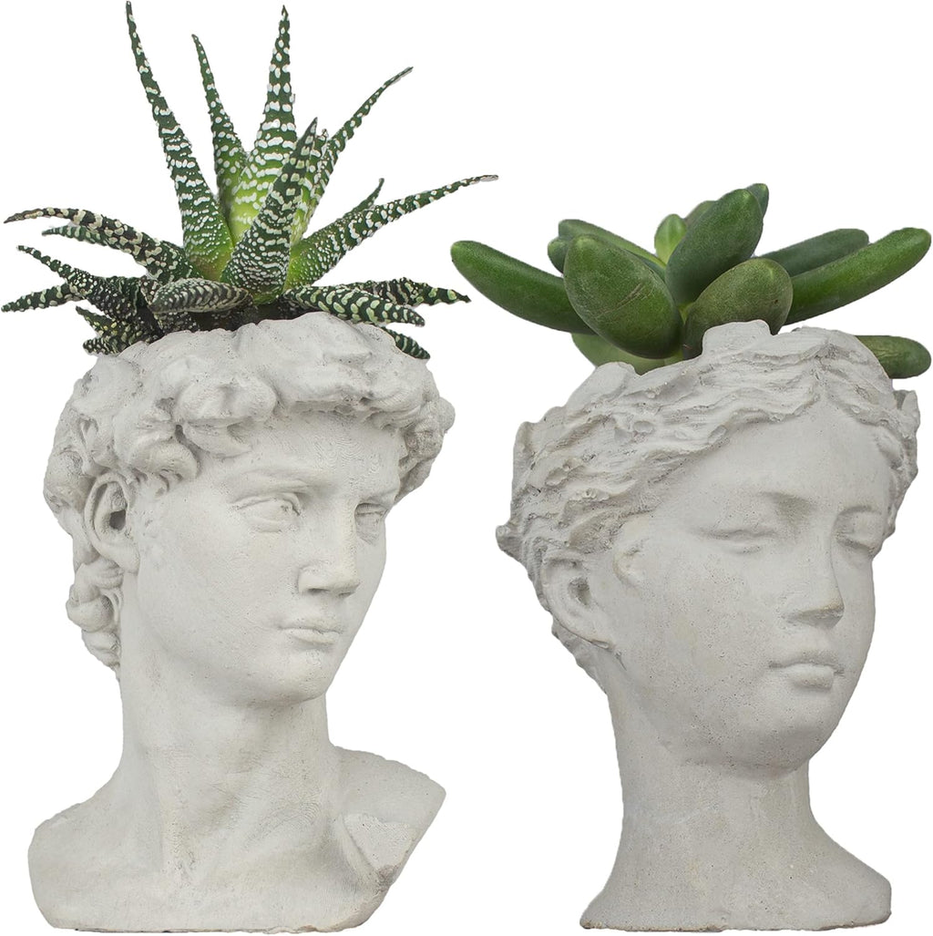 Unique Head Planter Succulent Pots Greek Mythology David Face Statue Bust Concrete Indoor Outdoor Garden 5 Inch Set of 2 Gray E4106