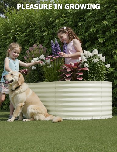 4x2x2Ft Oval Galvanized Steel Raised Garden Bed - Outdoor Metal Planter Box for Vegetables, Flowers, Herbs L43315