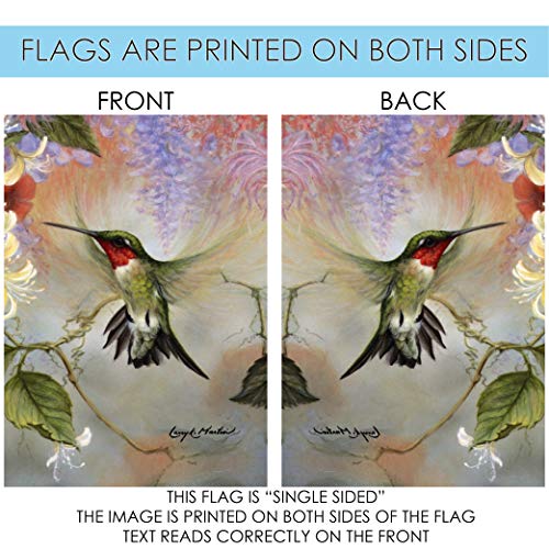 Toland Home Garden Ruby Throated Hummingbird Flag 28x40 Inch Double Sided W52492