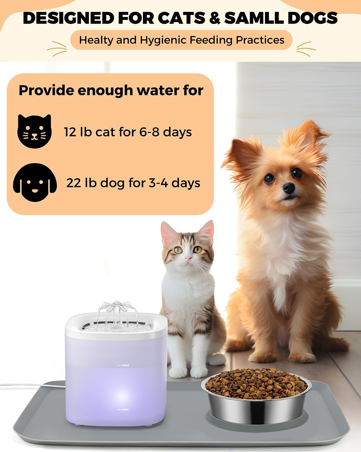 Stainless Steel Cat Water Fountain & Food Bowl Set with No Spill Mat C873650