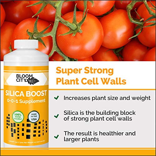 Bloom City Liquid Silica Boost Fertilizer, Quart (32 oz) H465