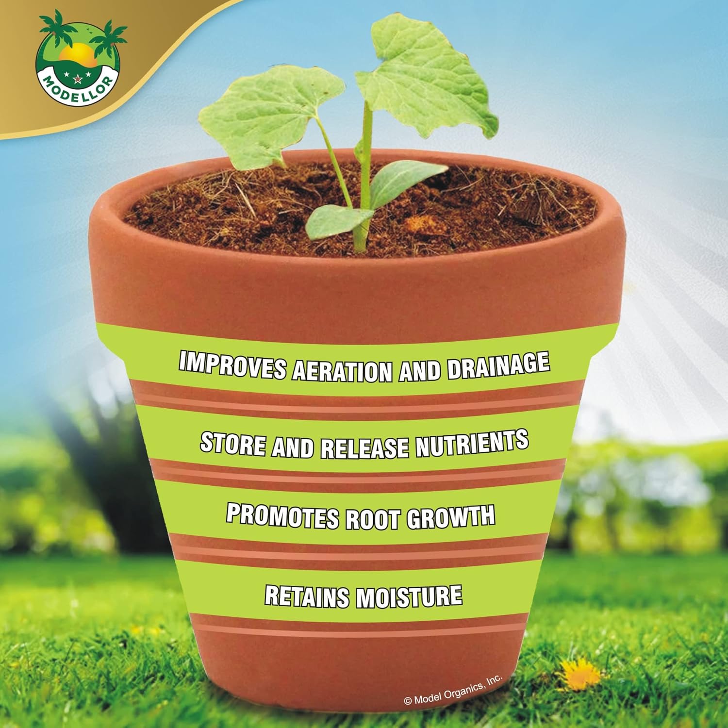 Coco Coir Brick 10 lb. Organic pH Balanced for Gardening T7598