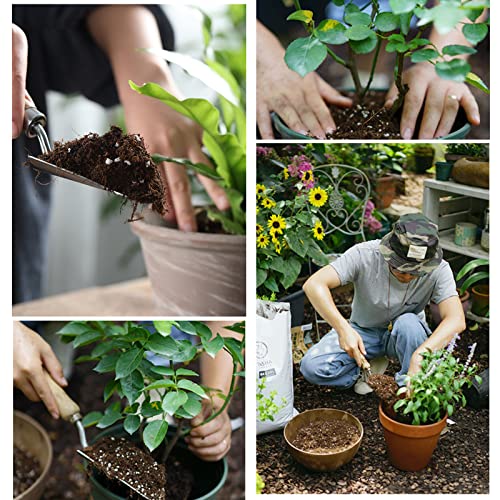 Organic Potting Soil Mix for Indoor & Outdoor Containers, 1 qt Z64719