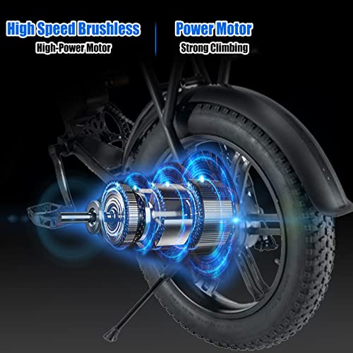 Electric Bike for Adults 20" Fat Tire 750W Removable Battery B243448