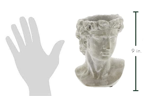 Greek Statue Head Cement Planter Indoor Outdoor Plant Pot X505
