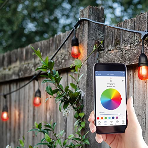 Feit Electric 24" 12pc Smart WiFi String Lights with Alexa & Google Assistant, Weather Resistant H519461