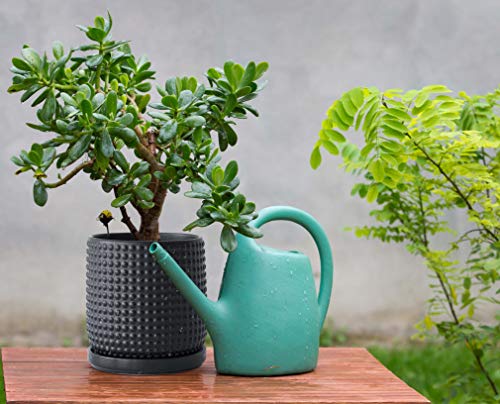 D'vine Dev 6 Inch Ceramic Beaded Stoneware Planter Pot with Drainage Holes and Saucer, Blue L431