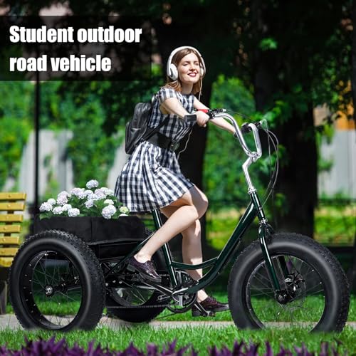 20 Inch Adult Tricycle, 7 Speed, Double Disc Brake A2071