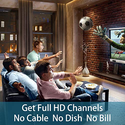 Lava Omnipro HD-8008 Omni-Directional HDTV Antenna with Mounting Pole W965