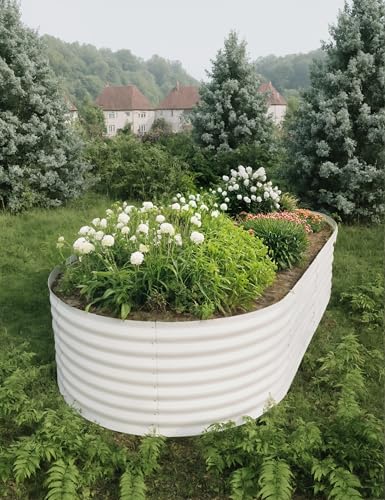 4x2x2Ft Oval Galvanized Steel Raised Garden Bed - Outdoor Metal Planter Box for Vegetables, Flowers, Herbs L43315