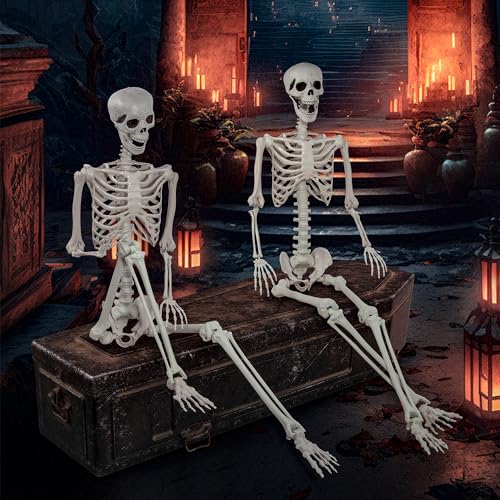 Halloween Life Size Skeleton with Movable Joints for Party Decoration X354