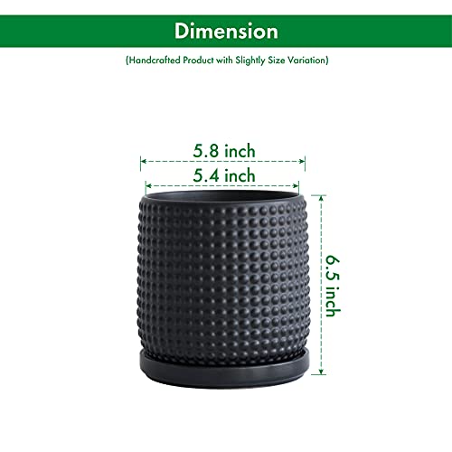D'vine Dev 6 Inch Ceramic Beaded Stoneware Planter Pot with Drainage Holes and Saucer, Blue L431