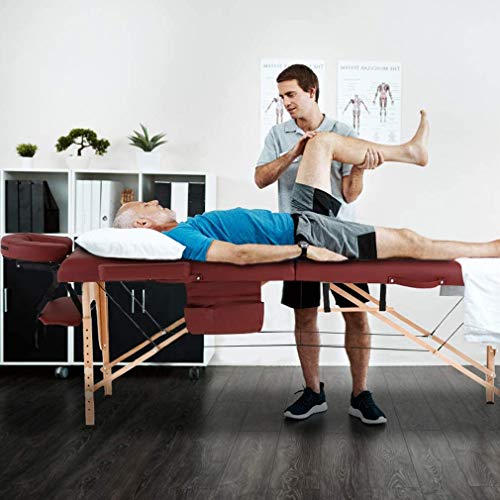 Dkeli Portable Massage Table Spa Bed Foldable 73 Inch Height Adjustable with Carry Case, Cream E1822