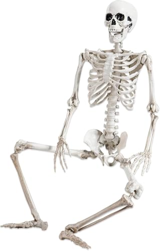 5.4 ft Posable Halloween Skeleton Decoration with Movable Joints L910930