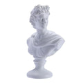 Greek David Head Bust Statue Sculpture Home Decorations, Classic Apollo Ancient Greek Mythology Statue Roman Home Decor or Bookshelves, Shelves, Partition Decor (White)