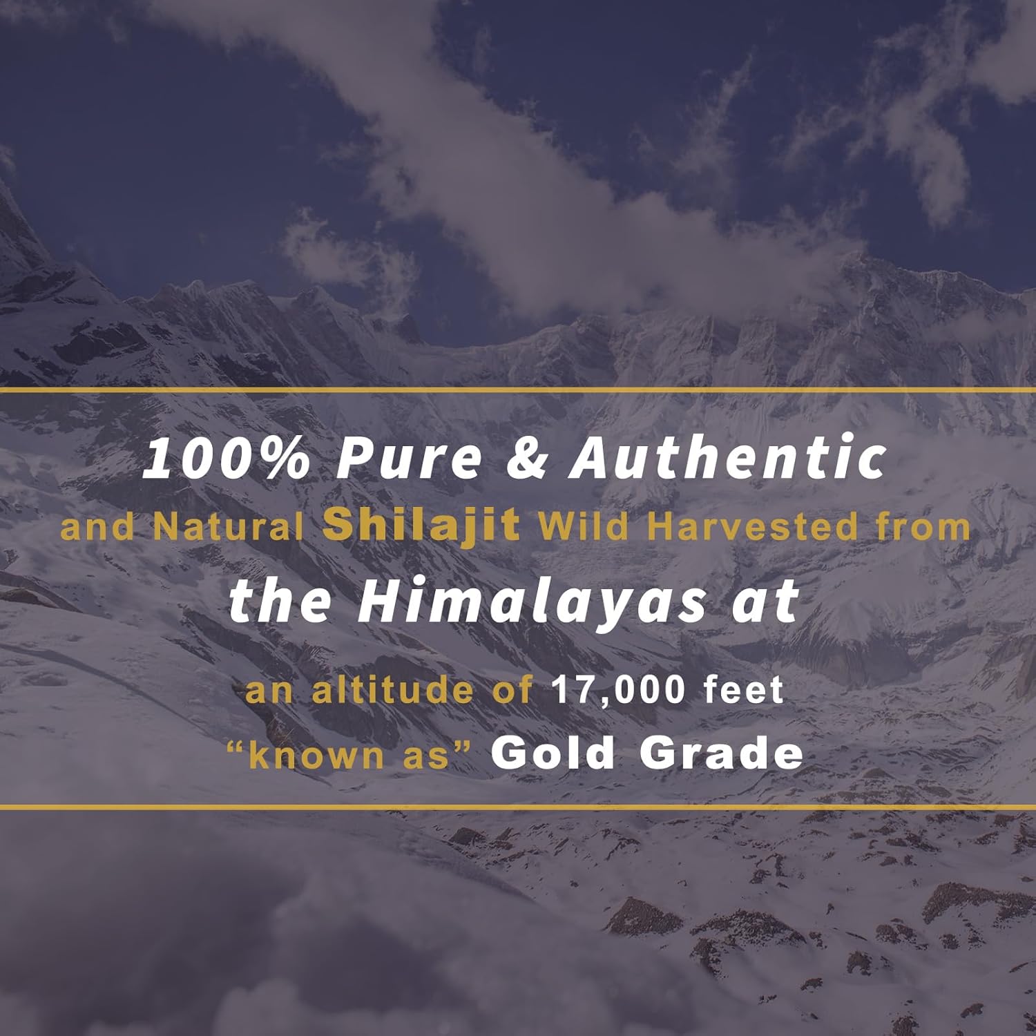 Shilajit Tablets 1000mg, Pure Himalayan Organic Supplement with Fulvic Acid & Trace Minerals G27547