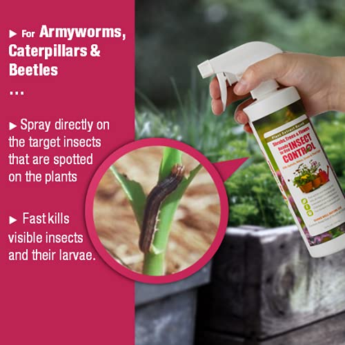 EcoVenger Garden Insect Control 16OZ, Plant Extract Based, Indoor & Outdoor V858