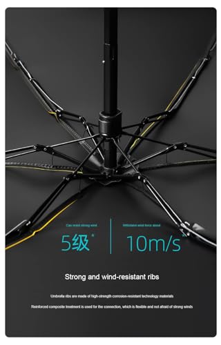 Compact Windproof Travel Umbrella for Rain Q696350