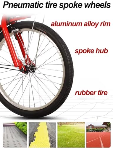 Folding Adult Tricycle with Back Seat, 3-Wheel Cruiser Bike D82805