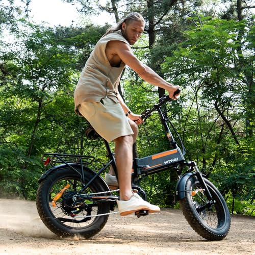 Foldable Electric Bike for Adults 750W 48V 12AH Fat Tire H4741
