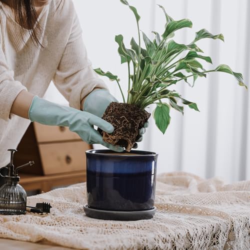 8 Inch Ceramic Plant Pot with Drainage Hole & Saucer for Indoor Outdoor A9888