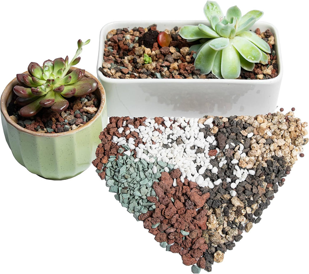 Bonsai Succulent Soil Potting Mix for Cactus Azalea Orchid 2.2LB X964718