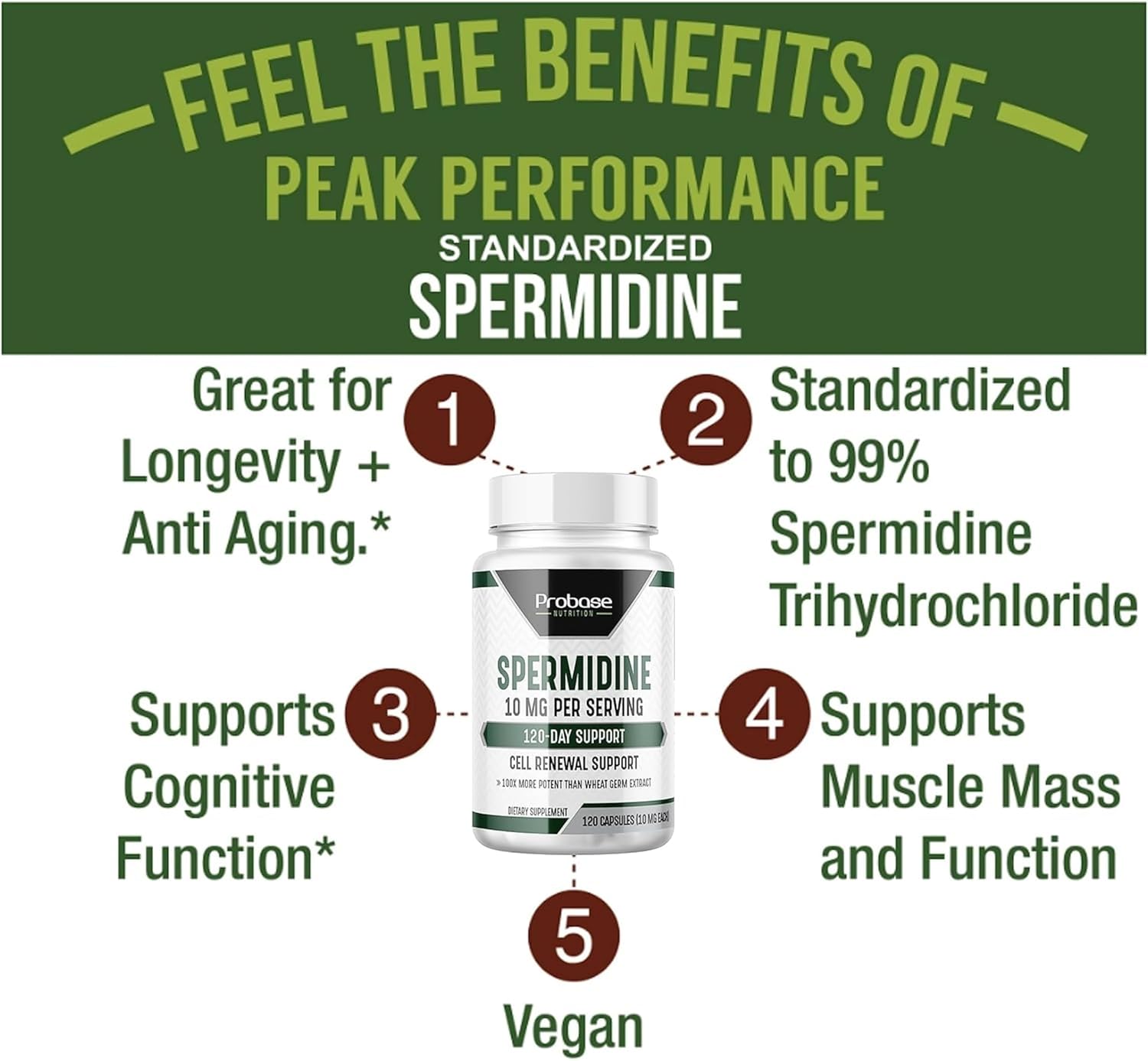 Spermidine 3HCL 10mg 120 Capsules - Telomere Health and Aging Support K807983