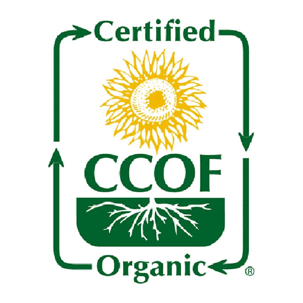 MCCABE ORGANIC BROWN SWEET RICE W33032
